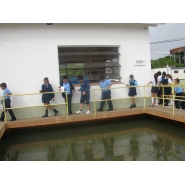 Visita a Aguas de Corrientes - 5to. Grado del Nivel Primario
